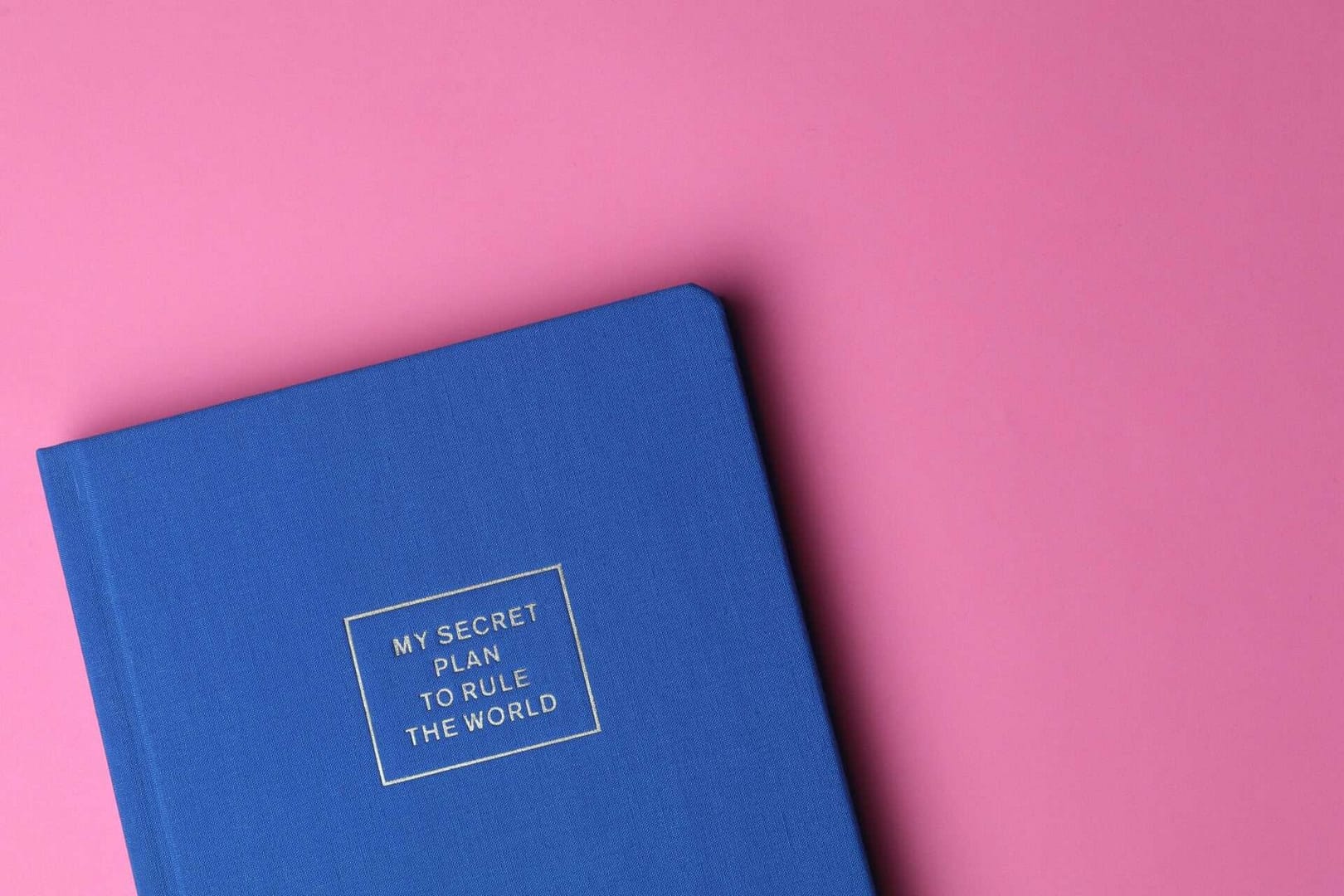 Picture of a closed book on a pink background, the book's title is 'my secret plan to rule the world.' This is picture is being used to illustrate how to create a legal bundle cover page.