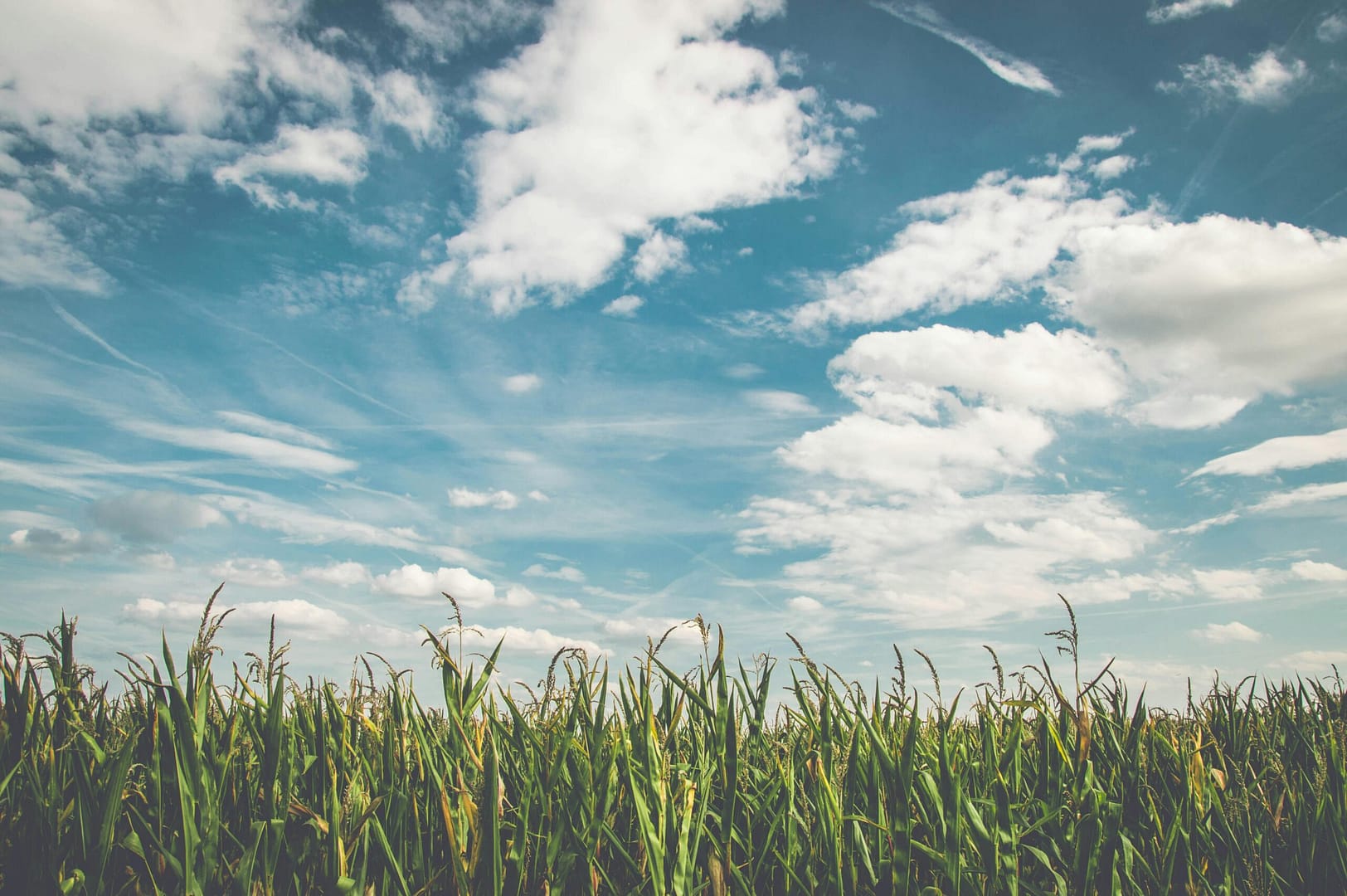 photograph of a cloudy sky to illustrate Cloud Storage vs Cloud Back Up